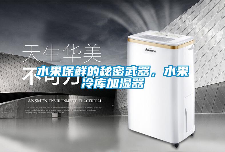 水果保鮮的秘密武器，水果冷庫加濕器