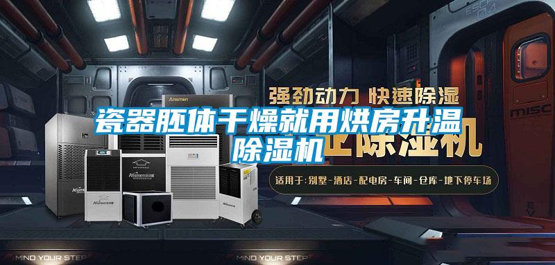 瓷器胚體幹燥就用烘房升溫91看片在线下载機