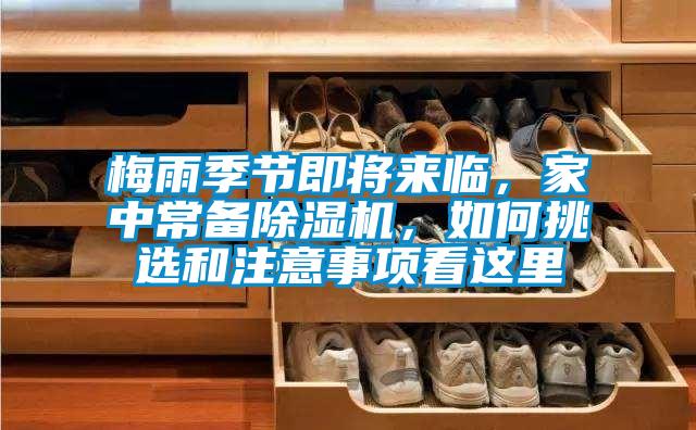 梅雨季節即將來臨，家中常備91看片在线下载機，如何挑選和注意事項看這裏