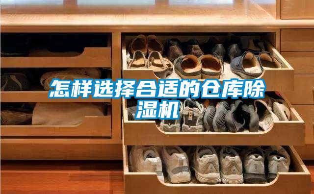 怎樣選擇合適的倉庫91看片在线下载機