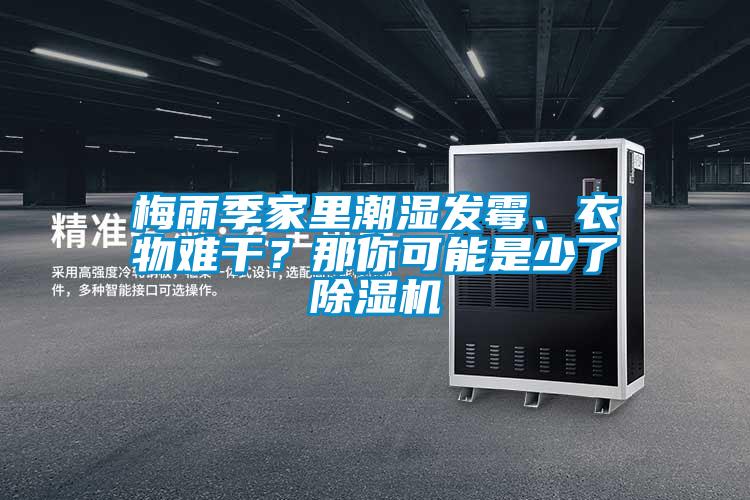 梅雨季家裏潮濕發黴、衣物難幹？那你可能是少了91看片在线下载機