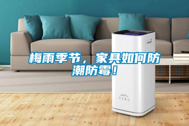 梅雨季節，家具如何防潮防黴！
