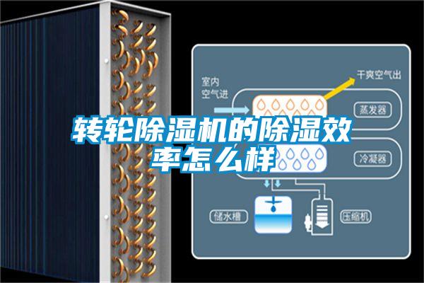 轉輪91看片在线下载機的91看片在线下载效率怎麽樣