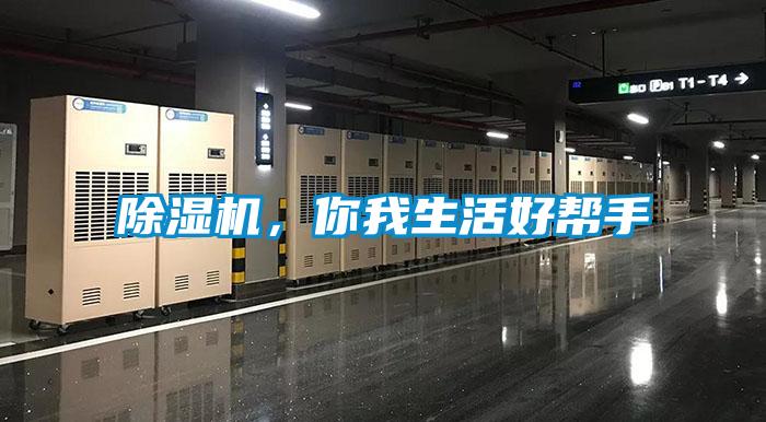 91看片在线下载機，你我生活好幫手
