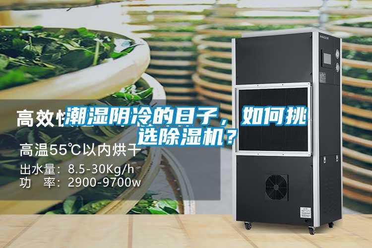 潮濕陰冷的日子，如何挑選91看片在线下载機？