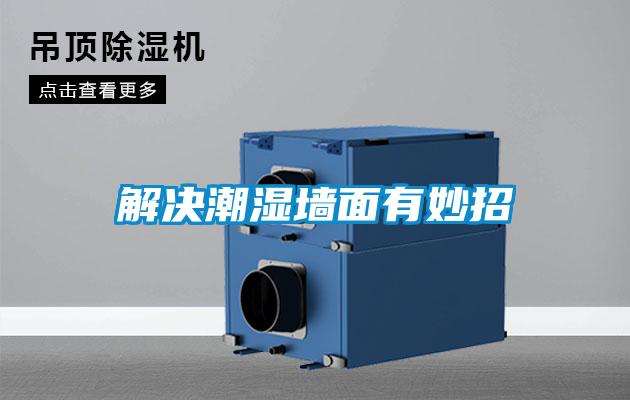 解決潮濕牆麵有妙招