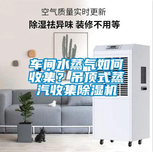 車間水蒸氣如何收集？吊頂式蒸汽收集91看片在线下载機