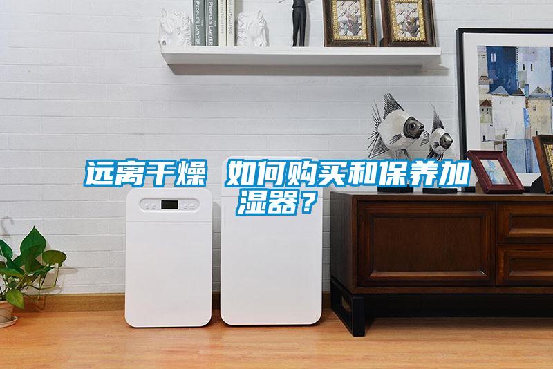 遠離幹燥 如何購買和保養加濕器？