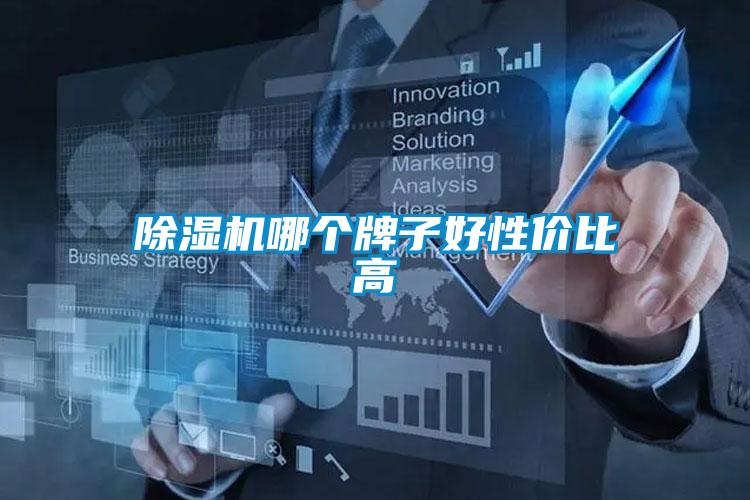 91看片在线下载機哪個牌子好性價比高