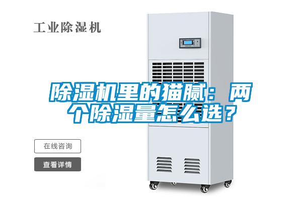 91看片在线下载機裏的貓膩：兩個91看片在线下载量怎麽選？