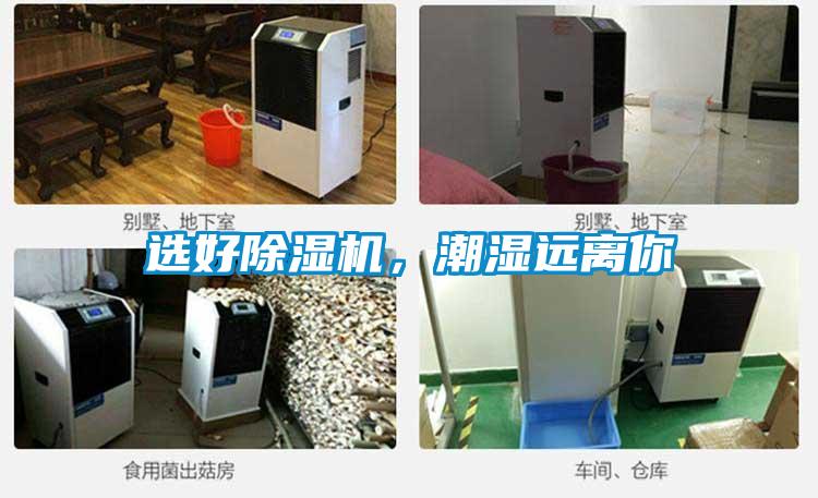 選好91看片在线下载機，潮濕遠離你