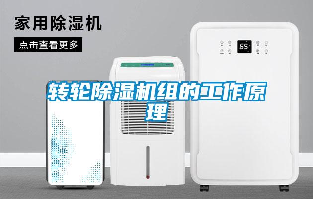 轉輪91看片在线下载機組的工作原理