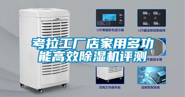 考拉工廠店家用多功能高效91看片在线下载機評測