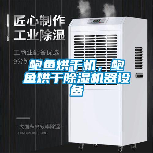 鮑魚烘幹機，鮑魚烘幹91看片在线下载機器設備