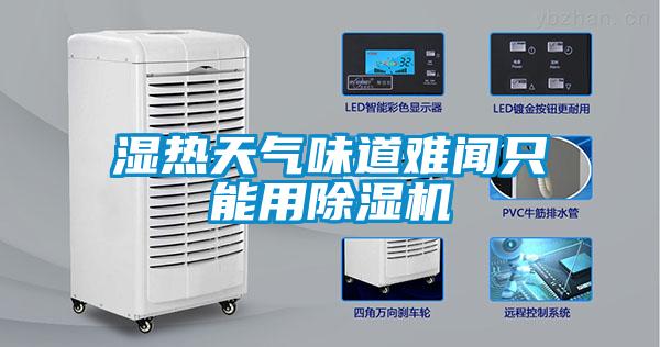 濕熱天氣味道難聞隻能用91看片在线下载機