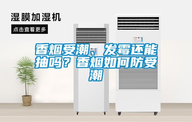 香煙受潮、發黴還能抽嗎?香煙如何防受潮