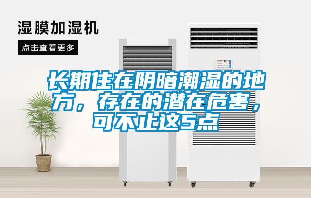 長期住在陰暗潮濕的地方，存在的潛在危害，可不止這5點
