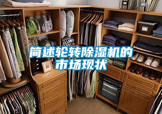 簡述輪轉91看片在线下载機的市場現狀