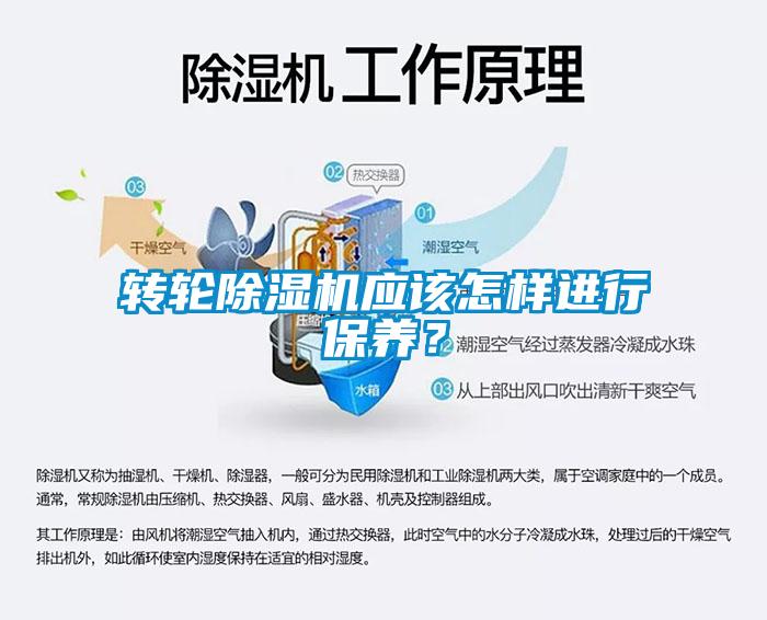 轉輪91看片在线下载機應該怎樣進行保養？