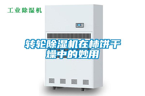 轉輪91看片在线下载機在柿餅幹燥中的妙用