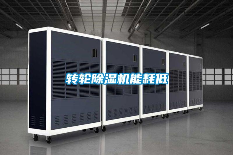 轉輪91看片在线下载機能耗低