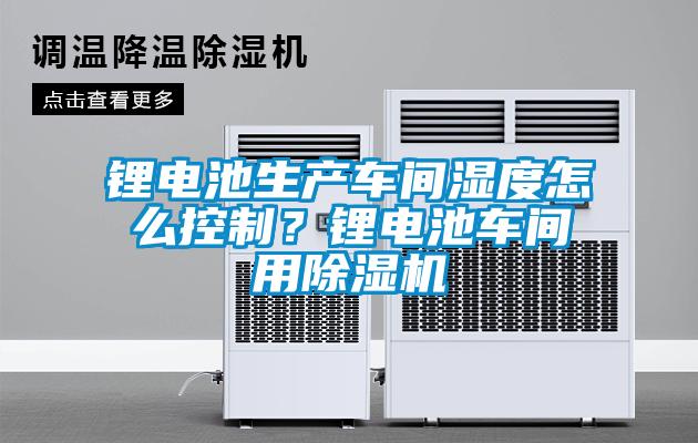 鋰電池生產車間濕度怎麽控製？鋰電池車間用91看片在线下载機