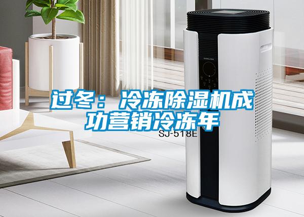 過冬：冷凍91看片在线下载機成功營銷冷凍年
