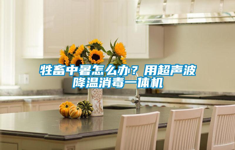 牲畜中暑怎麽辦？用超聲波降溫消毒一體機