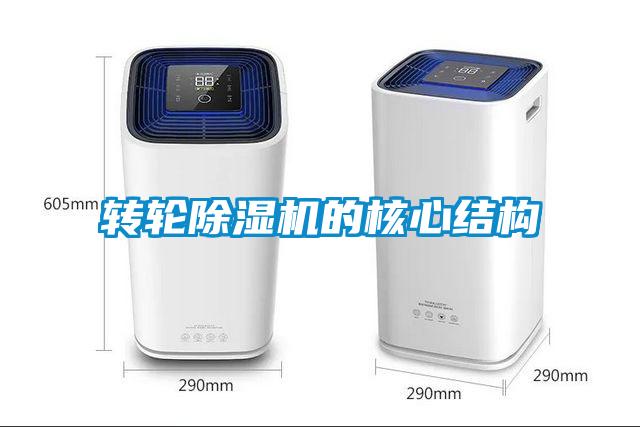 轉輪91看片在线下载機的核心結構