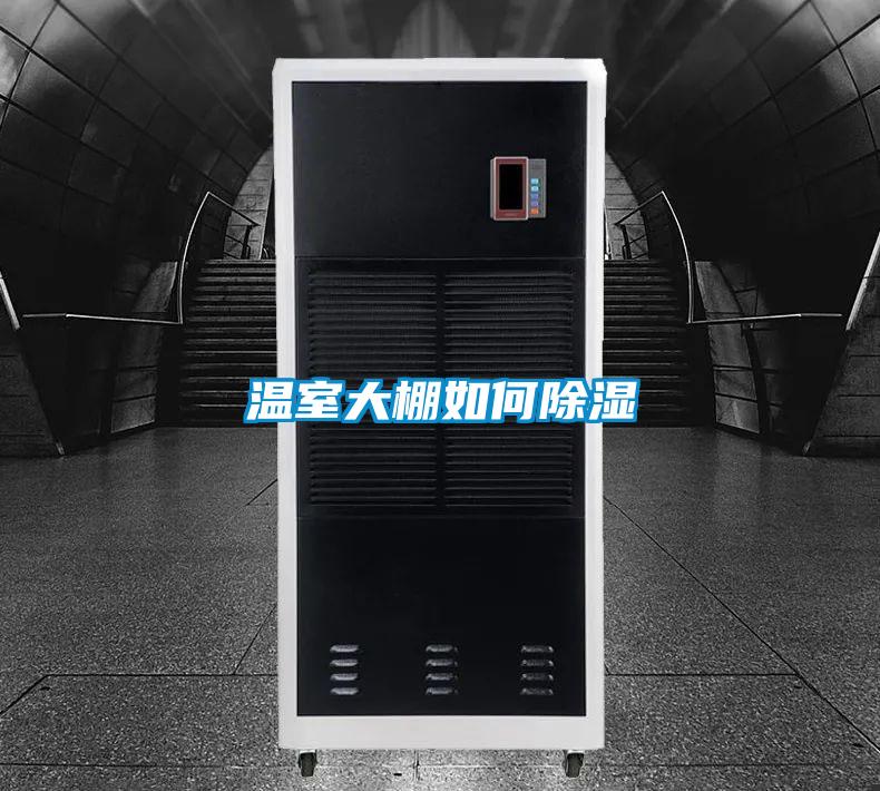 溫室大棚如何91看片在线下载