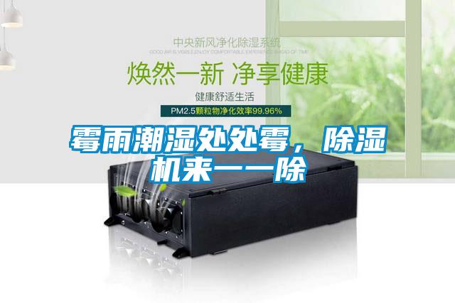 黴雨潮濕處處黴，91看片在线下载機來一一除