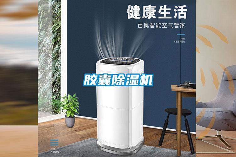 膠囊91看片在线下载機