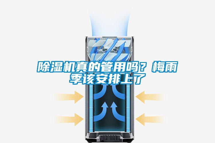 91看片在线下载機真的管用嗎？梅雨季該安排上了