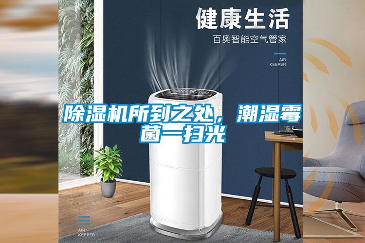 91看片在线下载機所到之處，潮濕黴菌一掃光