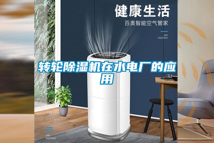 轉輪91看片在线下载機在水電廠的應用