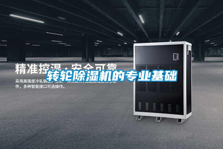 轉輪91看片在线下载機的專業基礎