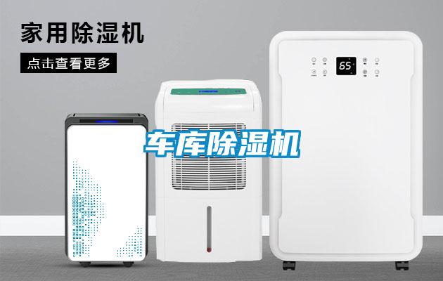 車庫91看片在线下载機