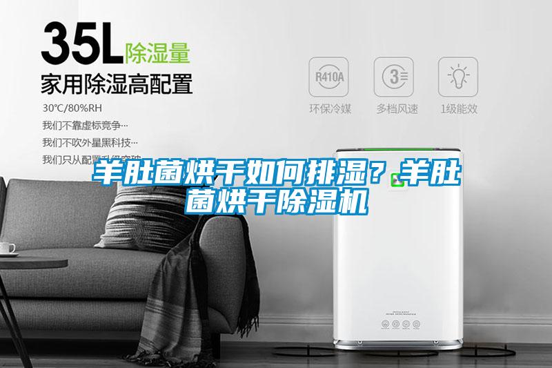羊肚菌烘幹如何排濕？羊肚菌烘幹91看片在线下载機