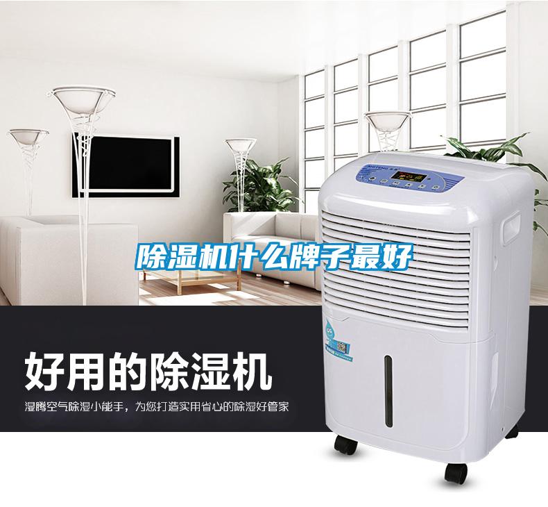 91看片在线下载機什麽牌子最好