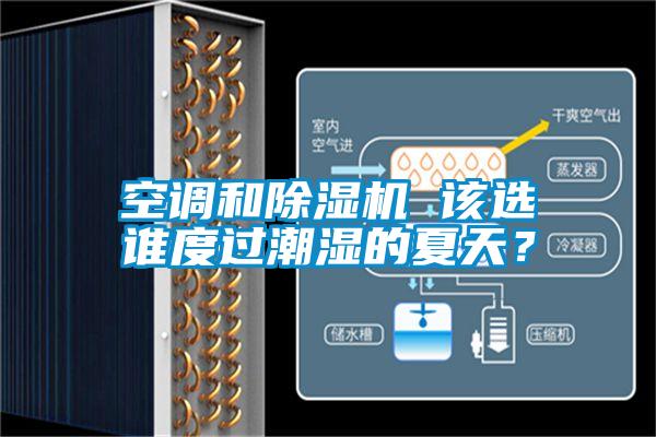 空調和91看片在线下载機 該選誰度過潮濕的夏天？