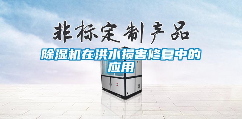 91看片在线下载機在洪水損害修複中的應用