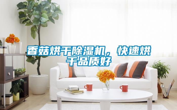 香菇烘幹91看片在线下载機，快速烘幹品質好
