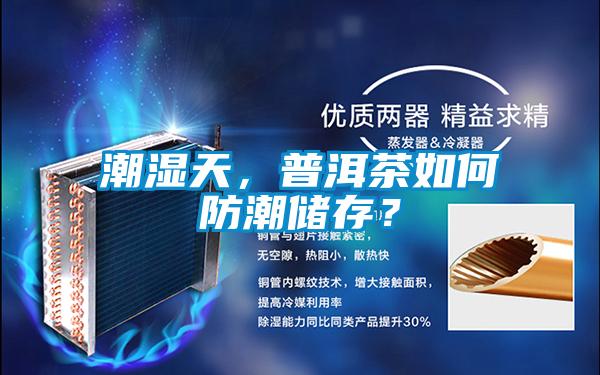 潮濕天，普洱茶如何防潮儲存？
