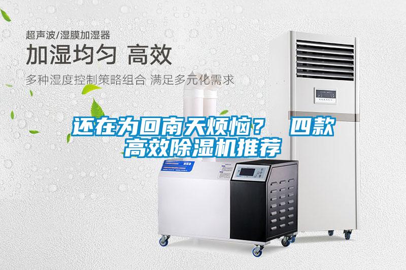還在為回南天煩惱？ 四款高效91看片在线下载機推薦