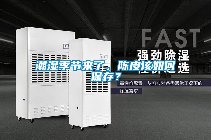 潮濕季節來了，陳皮該如何保存？