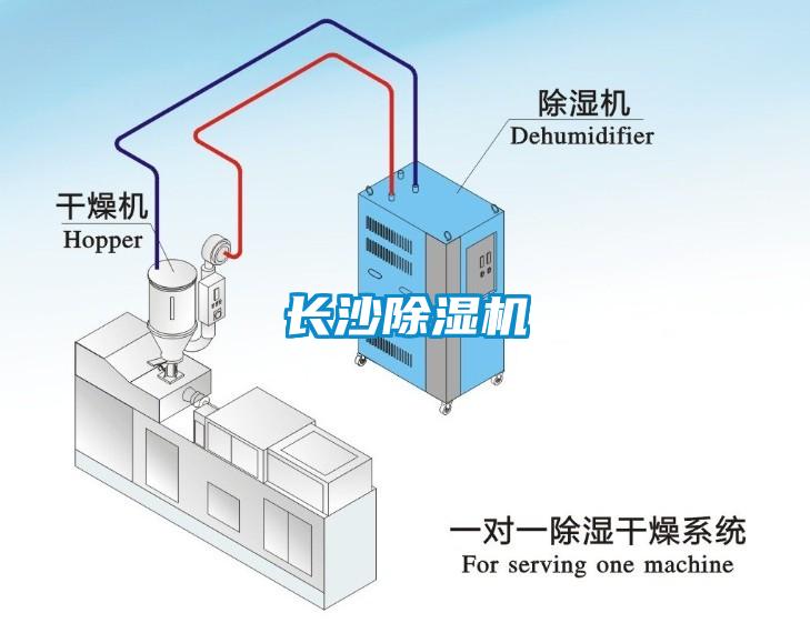 長沙91看片在线下载機