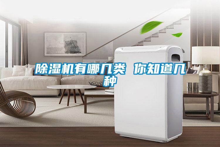 91看片在线下载機有哪幾類 你知道幾種