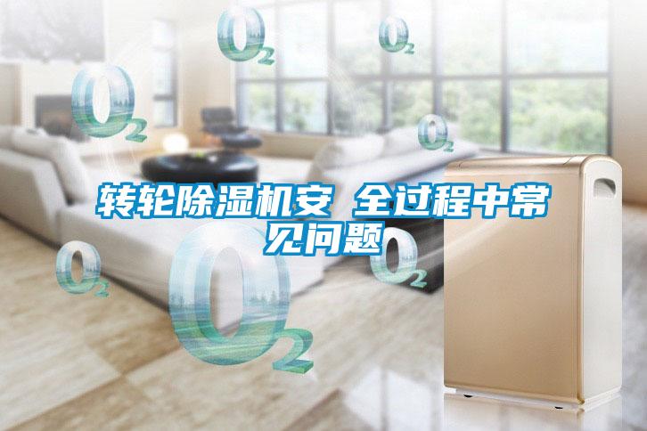 轉輪91看片在线下载機安裝全過程中常見問題