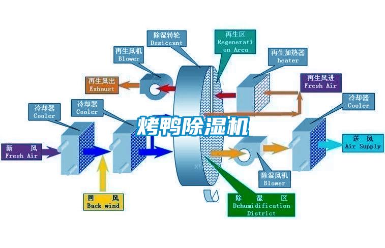 烤鴨91看片在线下载機