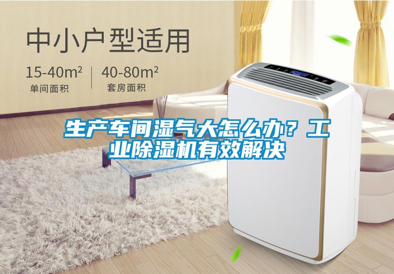 生產車間濕氣大怎麽辦？工業91看片在线下载機有效解決